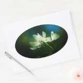 Apple Blossom - Twee bloemen Ovale Sticker (Envelop)