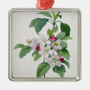Apple Blossom uit 'Les Choix des Plus Belles' Metalen Ornament