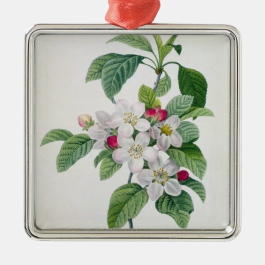 Apple Blossom uit 'Les Choix des Plus Belles' Metalen Ornament (Voorkant)