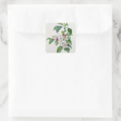 Apple Blossom uit 'Les Choix des Plus Belles' Vierkante Sticker (Tas)