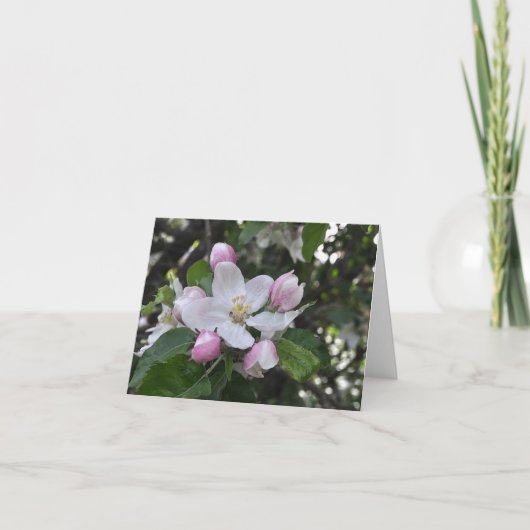 Apple Blossoms Bedankt Kaart (Voorkant)