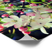 Apple Blossoms Lijst Creëer Je eigen foto Poster (Hoek)
