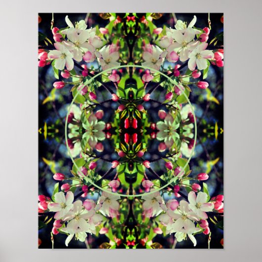 Apple Blossoms Lijst Creëer Je eigen foto Poster (Voorkant)