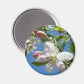 APPLE BLOSSOMS MAGNETS Fleurs roses Pomme (Recto/Verso)