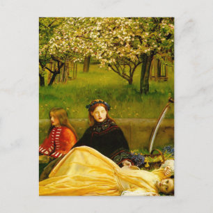 Apple Blossoms Spring Fine Art Briefkaart