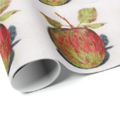 Apple Cadeaupapier (Rol Hoek)