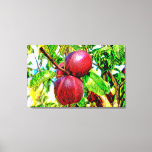 Apple de mon oeil Dessin d'oeuvres sur toile