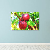 Apple de mon oeil Dessin d'oeuvres sur toile (Insitu (Plancher de Bois))