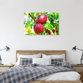 Apple de mon oeil Dessin d'oeuvres sur toile (Insitu(Chambre))