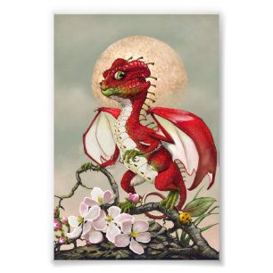 Apple Dragon 4x6 Afdrukken Foto Afdruk
