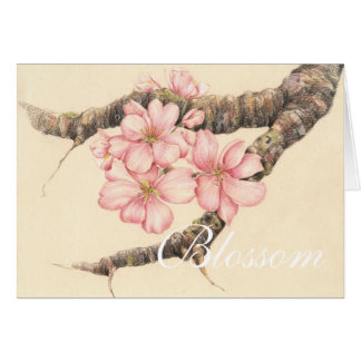 Apple fleurissent branche