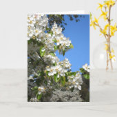 Apple fleurissent carte de voeux (Fleur jaune)