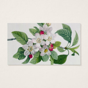 Apple fleurissent, du 'DES de Les Choix plus des