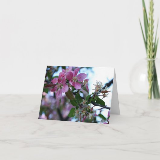 Apple fleurissent le carte pour notes 1 (Devant)