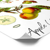 Apple Fruit Flower Botanische Illustratie Poster (Hoek)