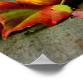 Apple Harvest Poster (Hoek)