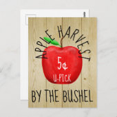 Apple Harvest  Sign Briefkaart (Voorkant / Achterkant)