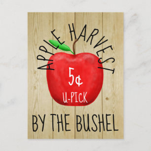 Apple Harvest  Sign Briefkaart