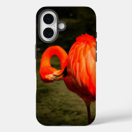 APPLE i PHONE CASE WITH A FLAMINGO DESIGN