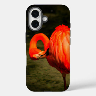 APPLE i PHONE CASE WITH A FLAMINGO DESIGN