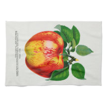 Apple  Illustratie Keukenhanddoek