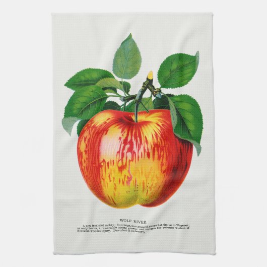 Apple Illustratie Keukenhanddoek (Verticaal)