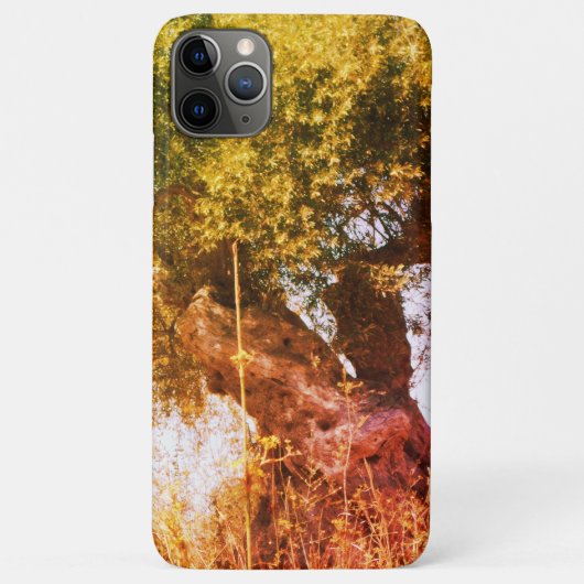 Apple iphone 11 pro max coque art&design style (Dos)