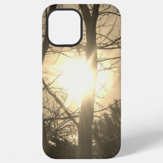 Apple iphone 12 pro max Hoesje cool eco stijl