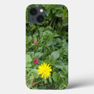 APPLE iPHONE 13 COQUE GARDEN PHOTOGRAPHIE CONCEPTI