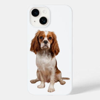 Apple iPhone 14 coque avec King Charles Cavalier