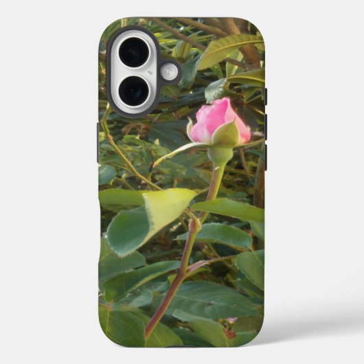 Apple iPhone 16 hoesje stijl en design (Achterkant)
