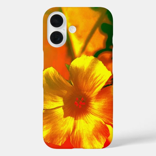 Apple iPhone 16 hoesje stijl en design (Achterkant)
