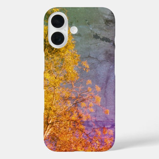 Apple iPhone 16 hoesje stijl en design (Achterkant)