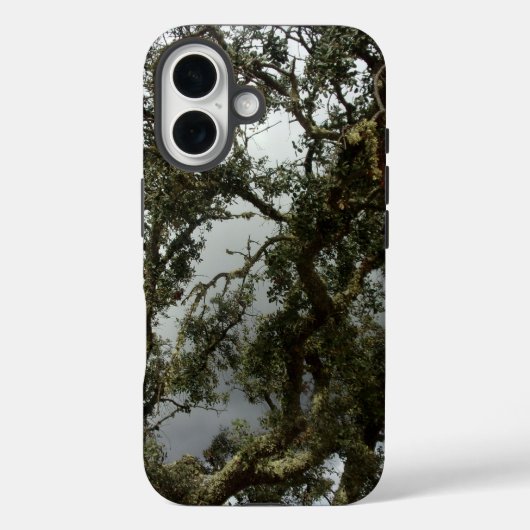 Apple iPhone 16 hoesje stijl en design (Achterkant)