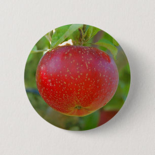 Apple Lobo Ronde Button 5,7 Cm