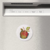 Apple Magneet (Insitu (Vaatwasser))
