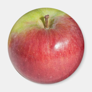 Apple Magneet