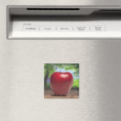 Apple Magneet (Insitu (Vaatwasser))