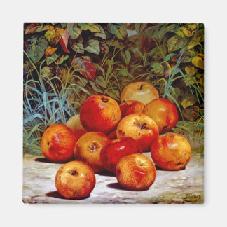 Apple Magnet Magneet