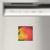 Apple Magnet Magneet (Insitu (Vaatwasser))