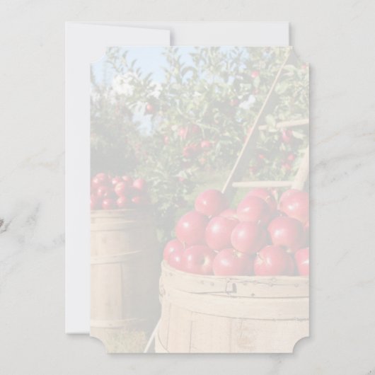 Apple Orchard Invitation d'anniversaire (Dos)