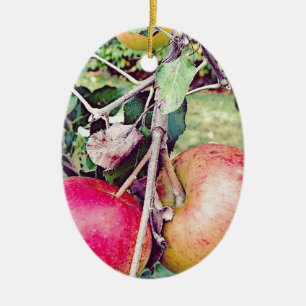Apple Orchard Keramisch Ornament