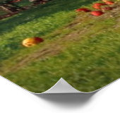 Apple Orchard Poster (Hoek)