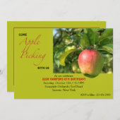 Apple Picking Invitation Kaart (Voorkant / Achterkant)