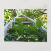 Apple-plukken in New England Briefkaart (Voorkant)