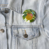 Apple Prima Ronde Button 5,7 Cm (In situ)