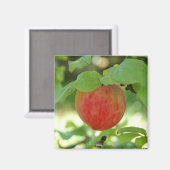 Apple Red Annanas - aimant (Recto/Verso)