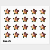 Apple Ster Sticker (Vel)