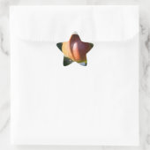 Apple Ster Sticker (Tas)