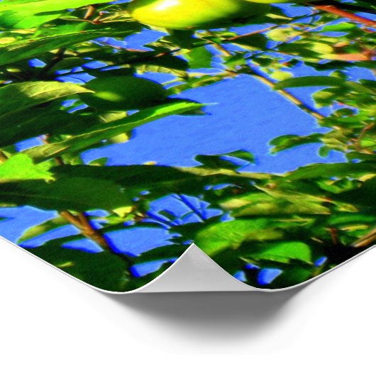 Apple-structuur Poster (Hoek)